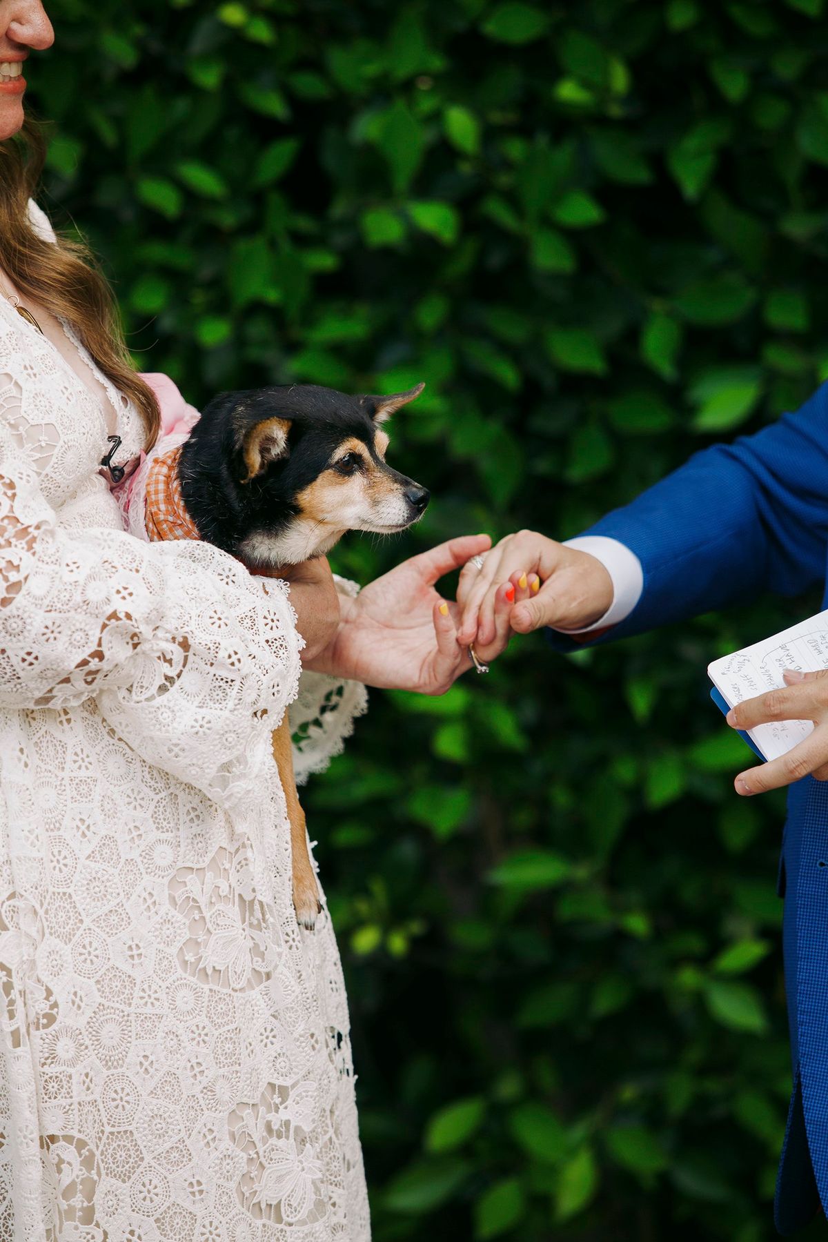 couple have their dog be a part of their wedding ceremony