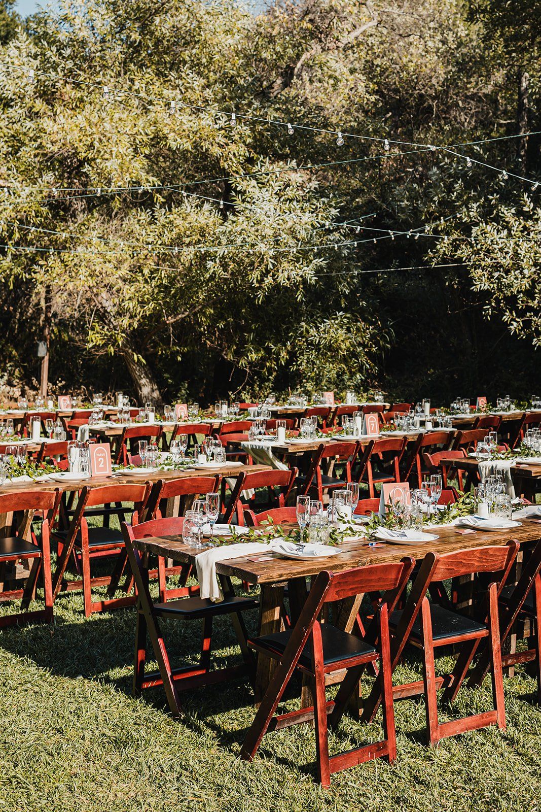 the1909wedding_Juliet+Adam-358.jpg