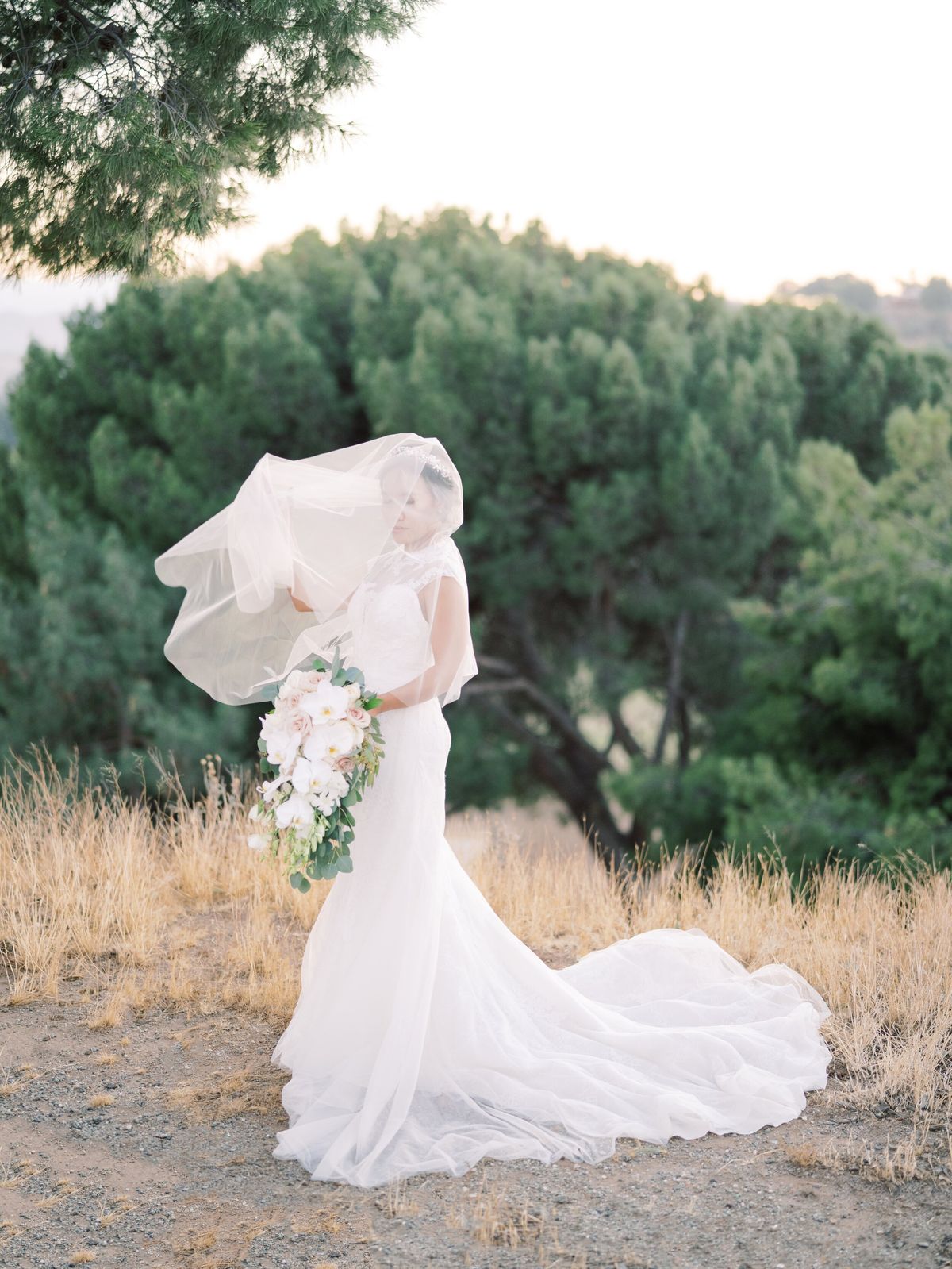 bride's veil blowing in the wind