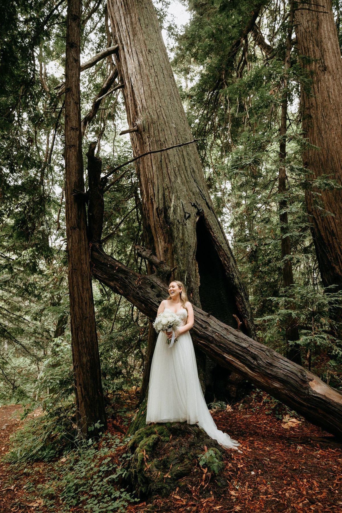 brittany-and-sherman-big-sur-elopement-261.jpg