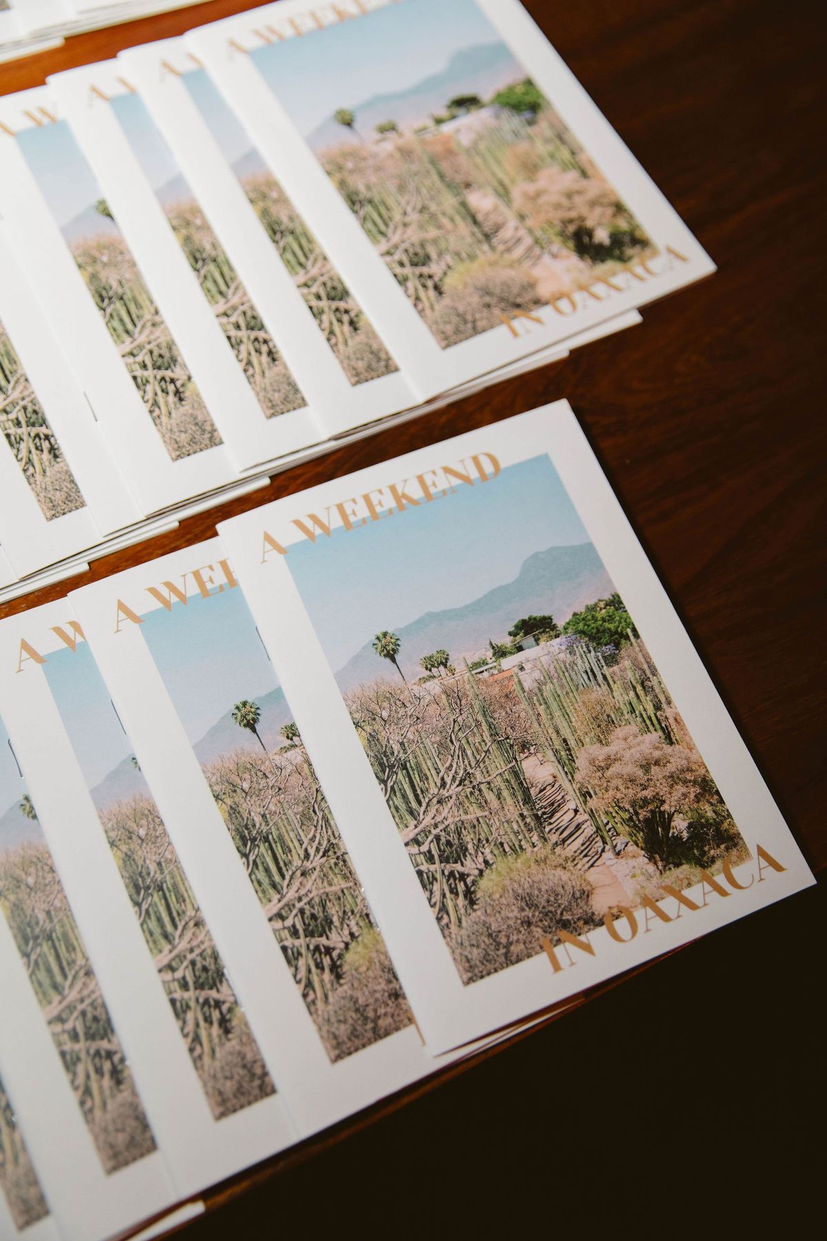 oaxaca, mexico destination wedding for los angeles local couple