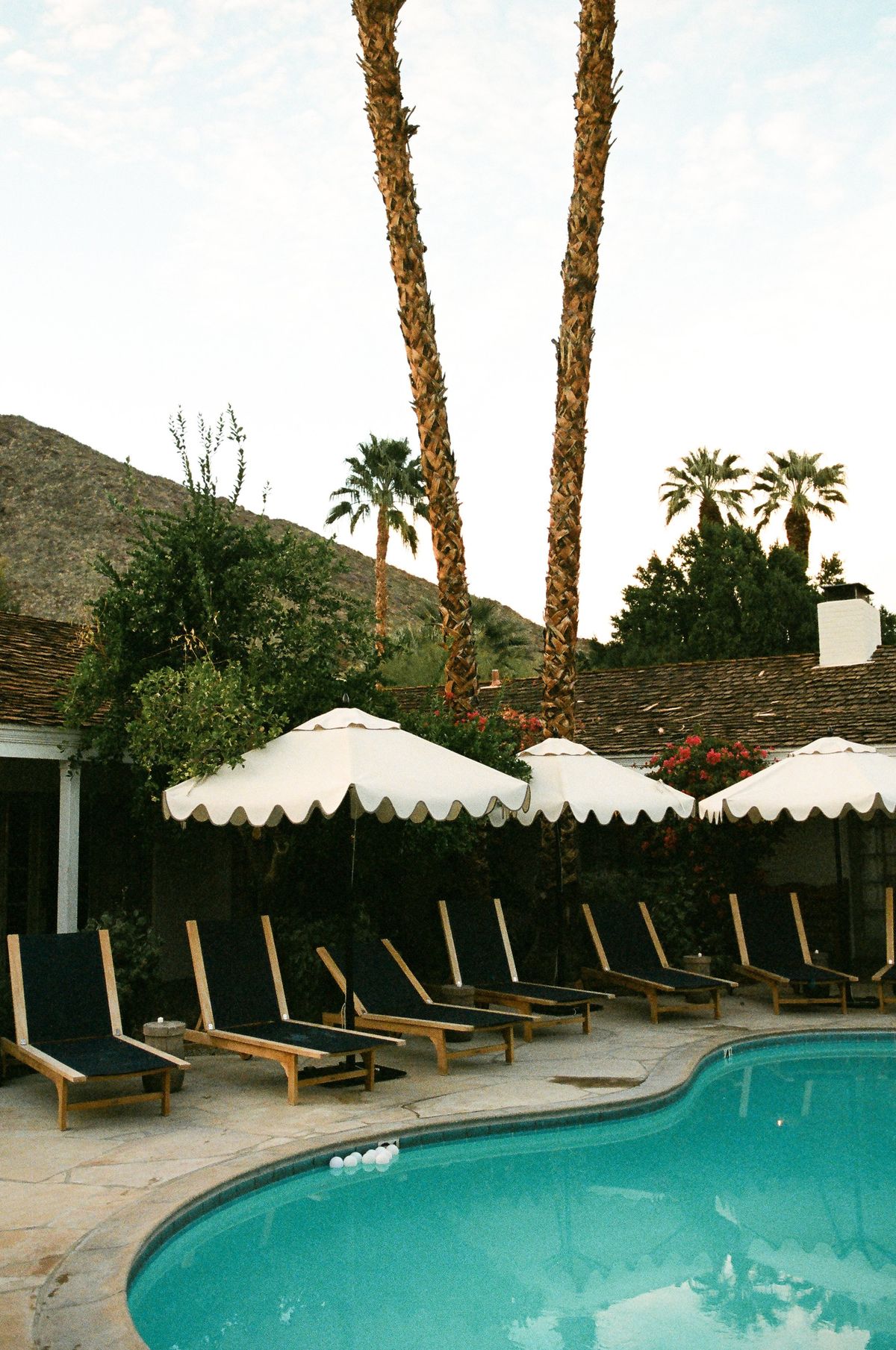 iconic palm springs wedding held at casa cody