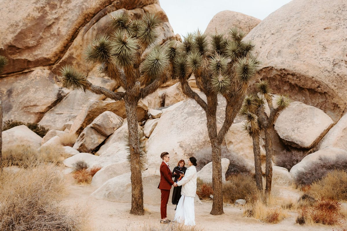 elopement in joshua tree national park