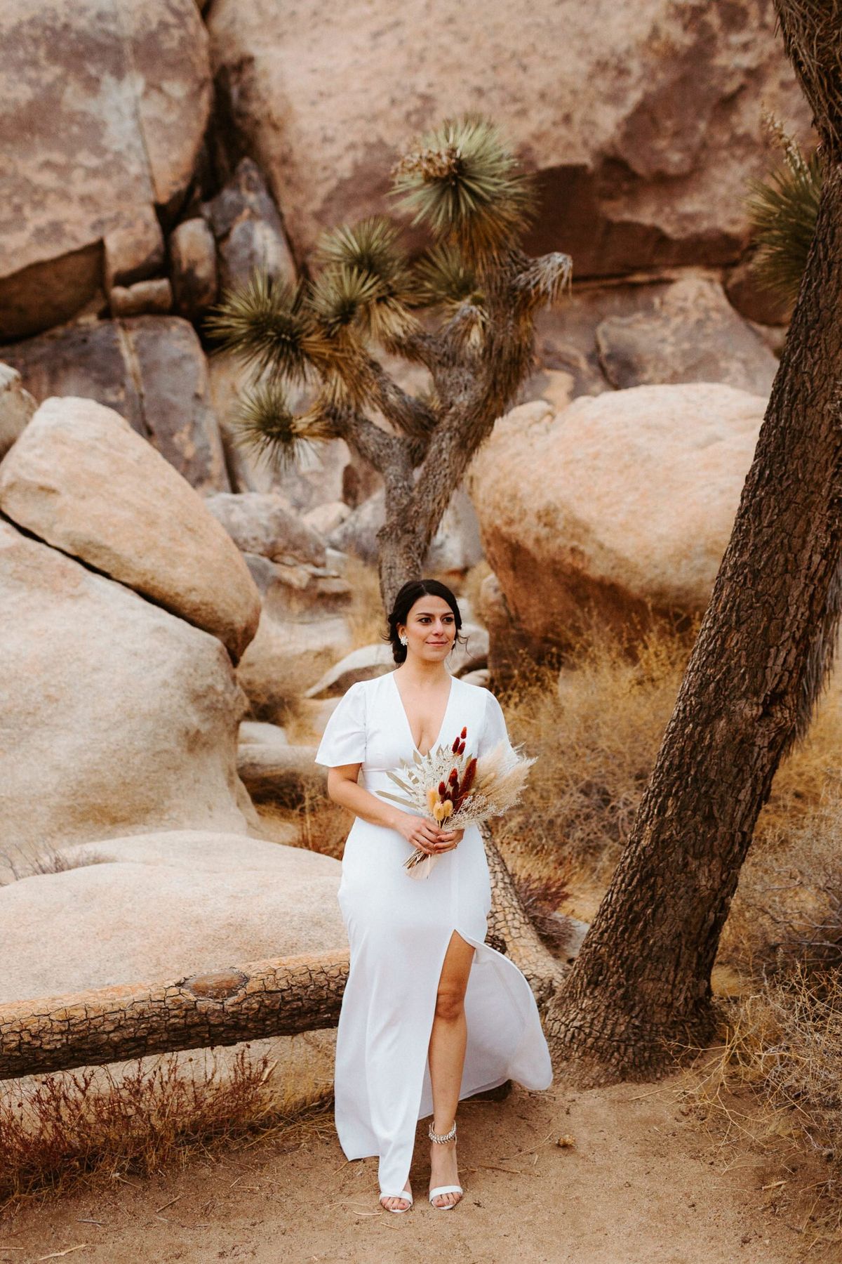 joshua tree bride and bride