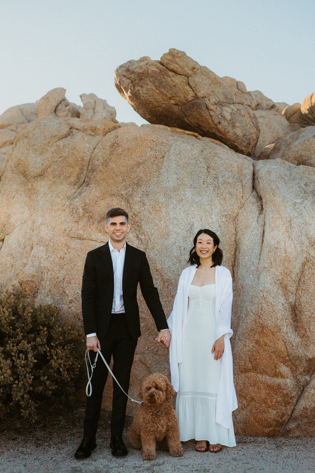 LA couple bring their mini golden doodle to their iconic joshua tree elopement