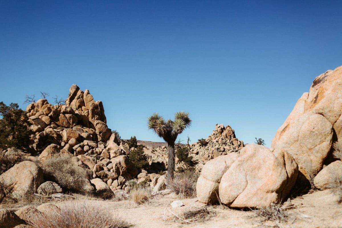 joshua tree elopement at the rock reach house airbnb