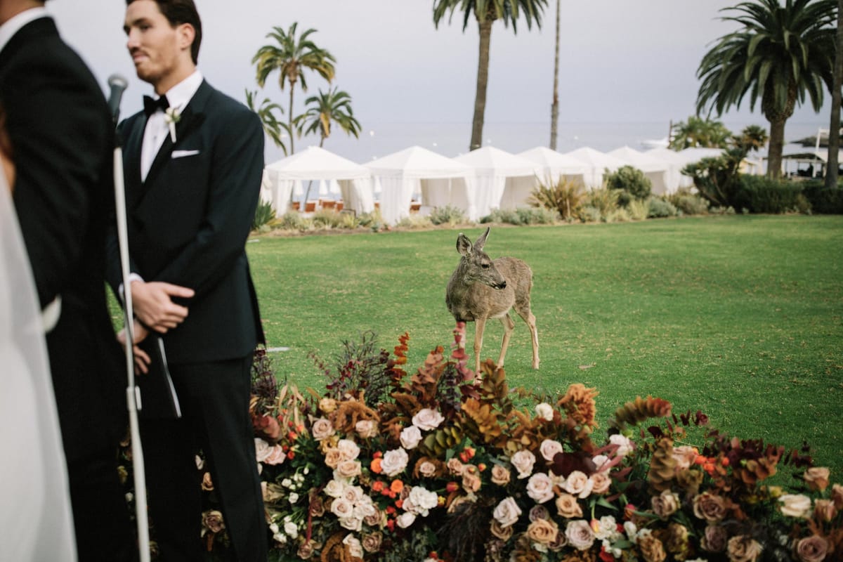 11_19_21_JulianaJakeWed_2205.jpg
