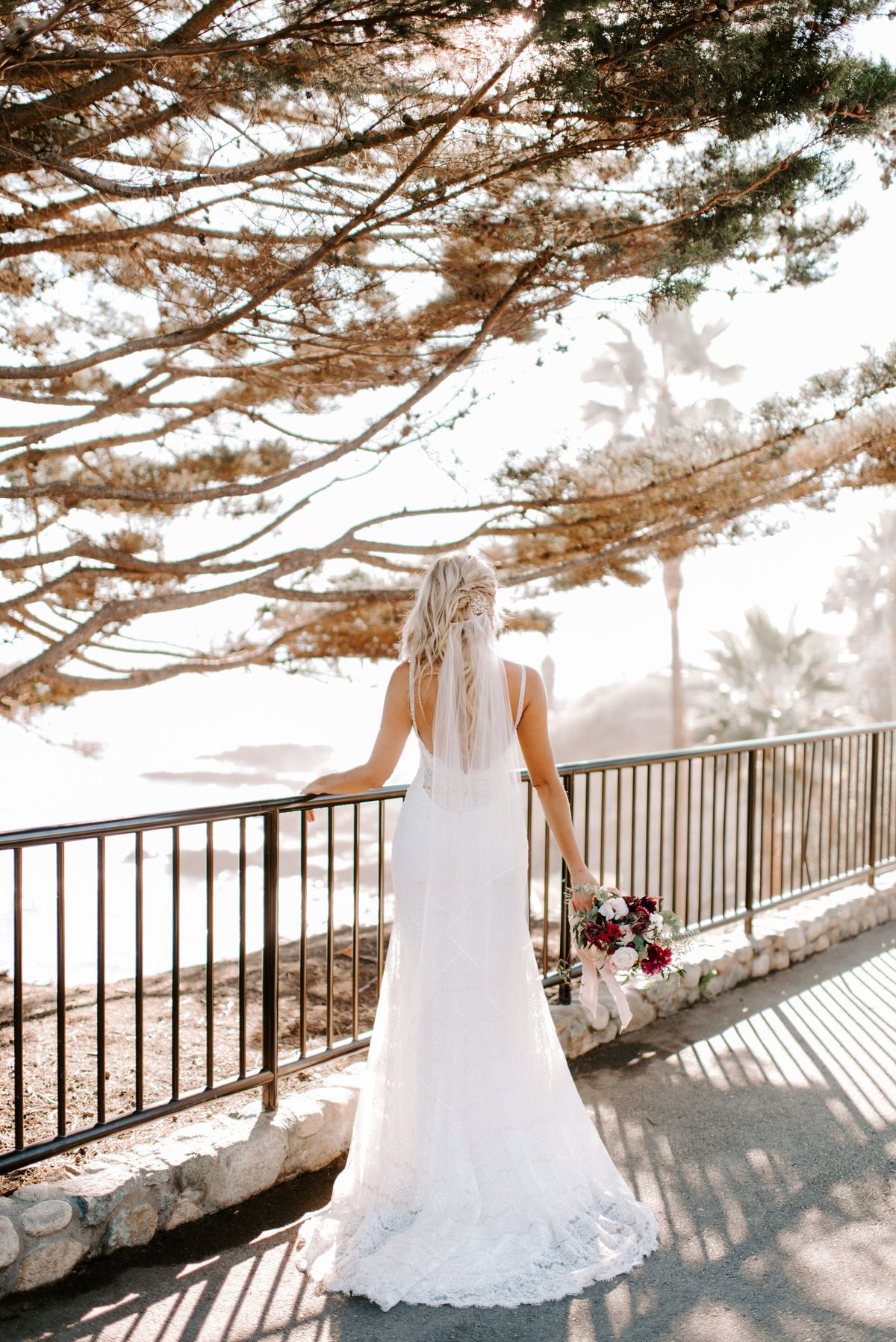 looking out on the cliffs of laguna beach